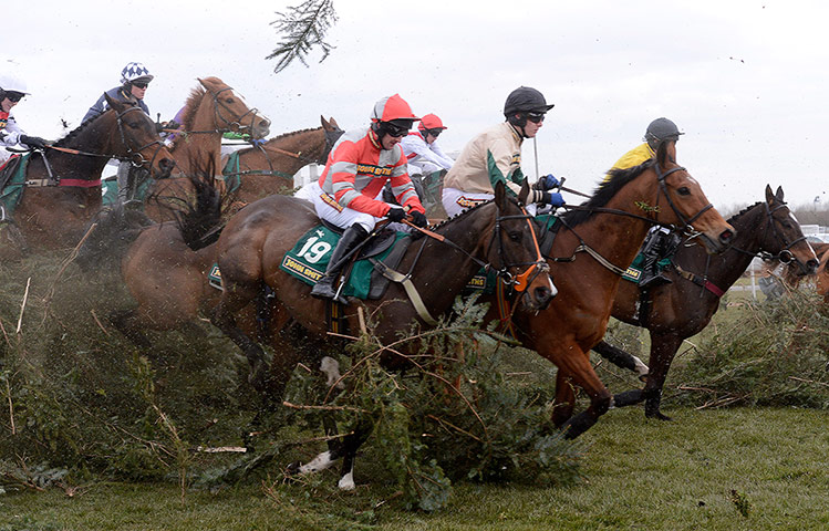 Aintree Ladies Day 2013: Aintree Ladies Day 2013