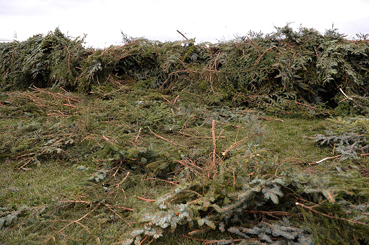 Aintree Ladies Day 2013: Aintree Ladies Day 2013