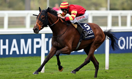 Seal-of-Approval-Ascot-Champions-Day