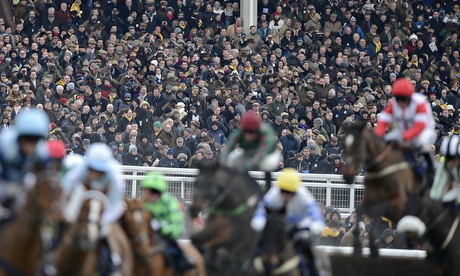 Cheltenham Racing 