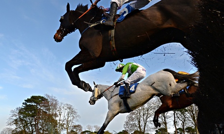 Horse Racing at Fontwell Park 