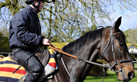 Sprinter Sacre
