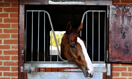 Sire De Grugy 