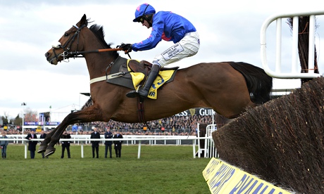 Cue Card Cheltenham Racing festival 2013