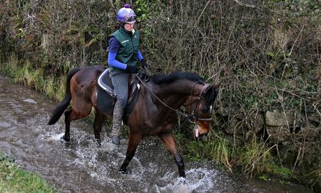 Horse Racing - Visit to Willie Mullins Stables - Closutton