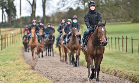 Nigel Twiston Davies The New One