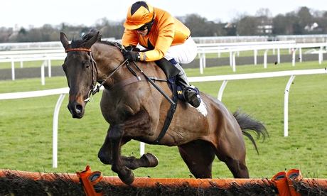 Tea-For-Two-Lanzarote-Hurdle