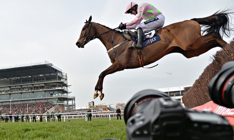 Vautour