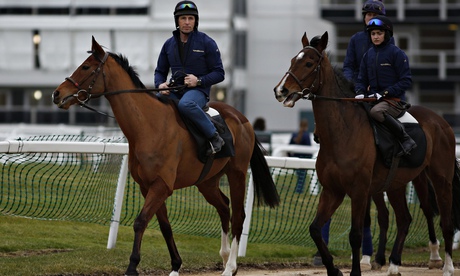 Faugheen Cheltenham Gallops