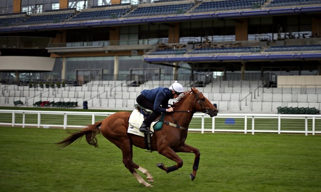 Criterion, ridden by Chad Schofield, has a workout at Ascot to prepare for the Royal meeting