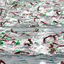 The swimming phase of the triathlon