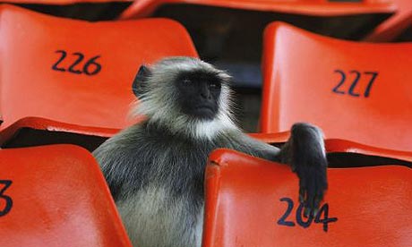 Jamshedpur Cricket Stadium