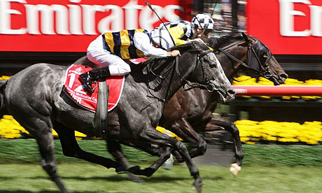 Viewed beats Bauer to the line in the Melbourne Cup