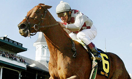 Funny Cide in his stall, two months before the 2003 Kentucky Derby.