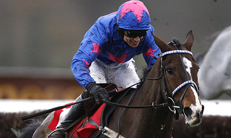 Talking horses, mount oscar