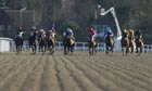 Horse racing: The latest news and best bets in Talking Horses, our daily horse racing blog