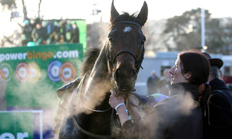 Hurricane Fly may miss rest of season with ligament injury