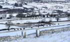 Horse racing: The latest news and best bets in Talking Horses, our daily horse racing blog