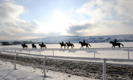 Horse Racing - Horses Excercise At Middleham