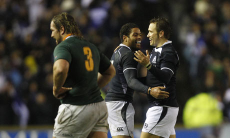 south africa lose to scotland