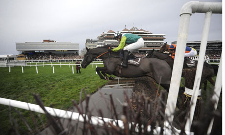 Horse Racing - Hennessy Gold Cup Day - Newbury Racecourse