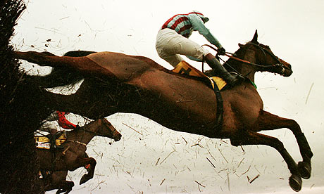 Edredon Bleu at Kempton