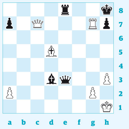  - chess-3127-001