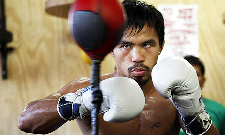 Manny Boxer