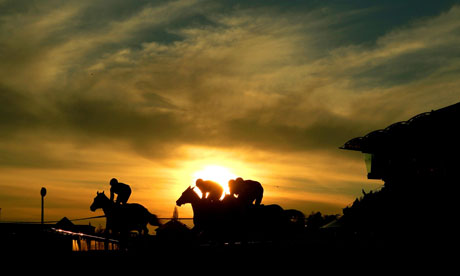 Horses race in front of a sunset at Cheltenham