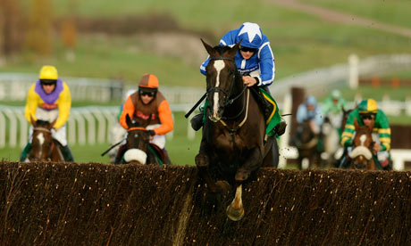 Little Josh jumping a fence at Cheltenham