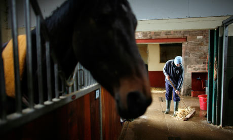 A Stable