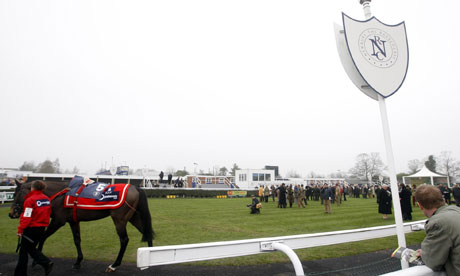 Electrocuted Horses