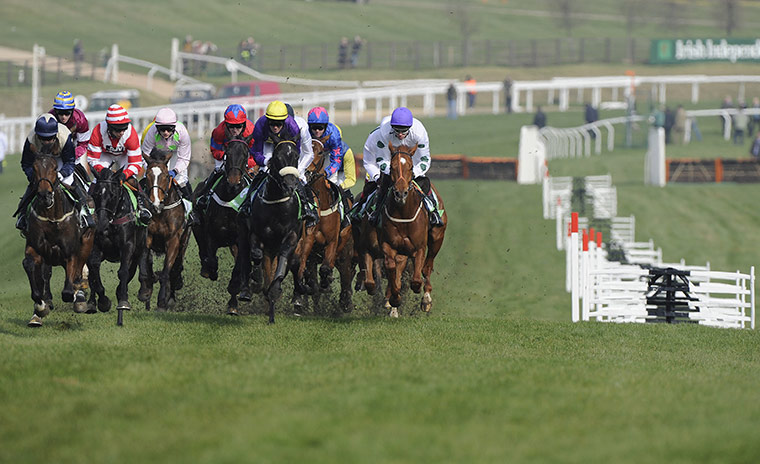 Cheltenham Day 1: The runners set off in the Stan James Supreme Novice Hurdle