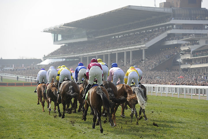 Cheltenham Day 1: The runners in the first race head towards the packed stands