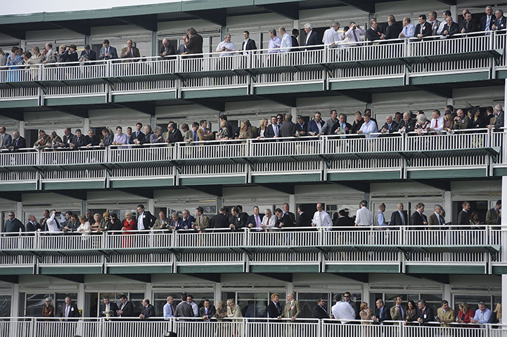 Cheltenham Day 1: Hospitality boxes at Cheltenham