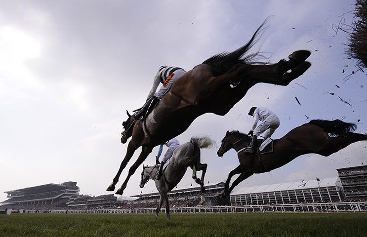 Cheltenham Day 1: Runners in the 2nd race jump over the penultimate fence
