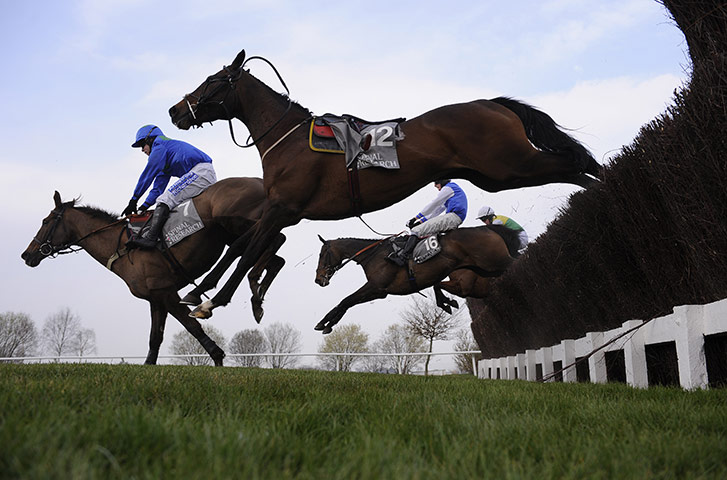 Cheltenham Day 1: Runners & loose horses in the 3rd race jump a fence 