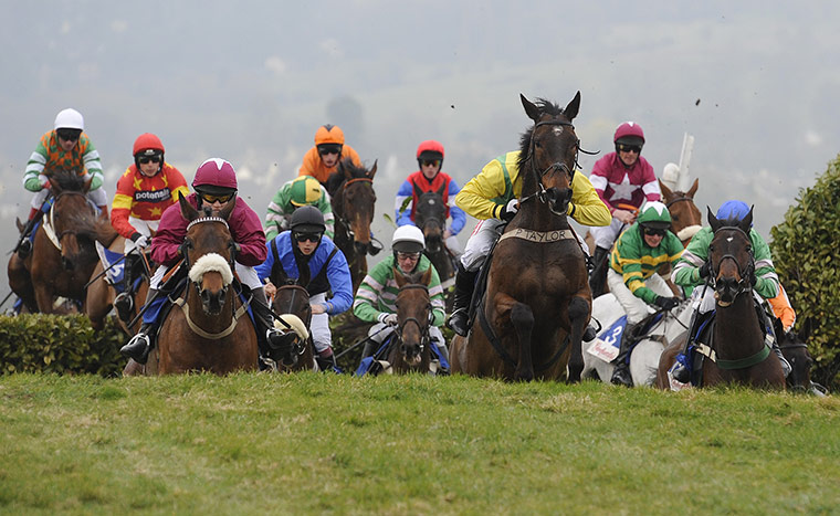 Cheltenham Day 1: Runners in the cross-country race negotiate the cheese wedges