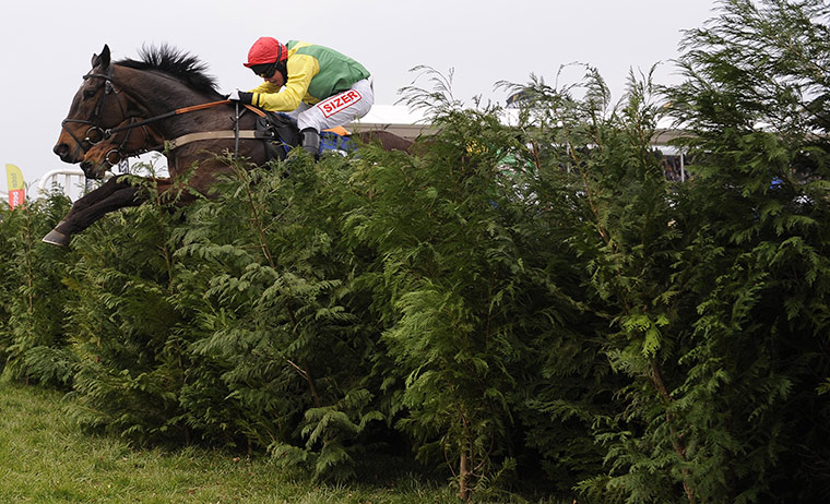 Cheltenham Day 1: Sizing Australia jumps the last and goes on to victory 