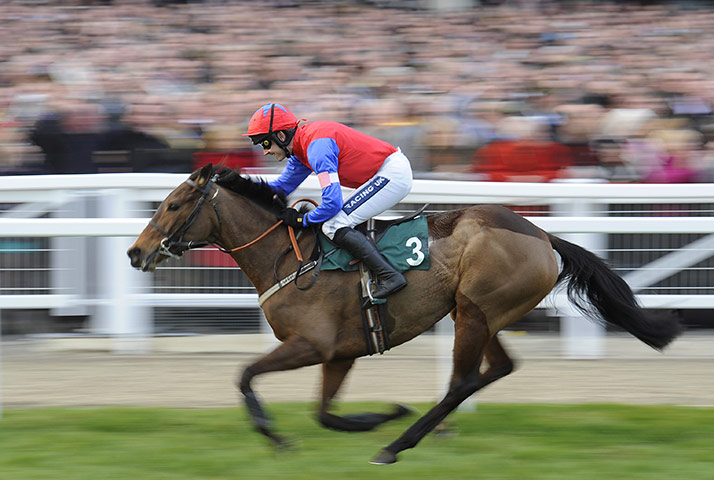 Cheltenham Day 1: Quevega passes the cheering crowd and cruises to victory