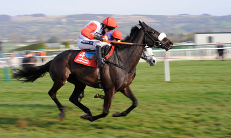 Protester Cheltenham