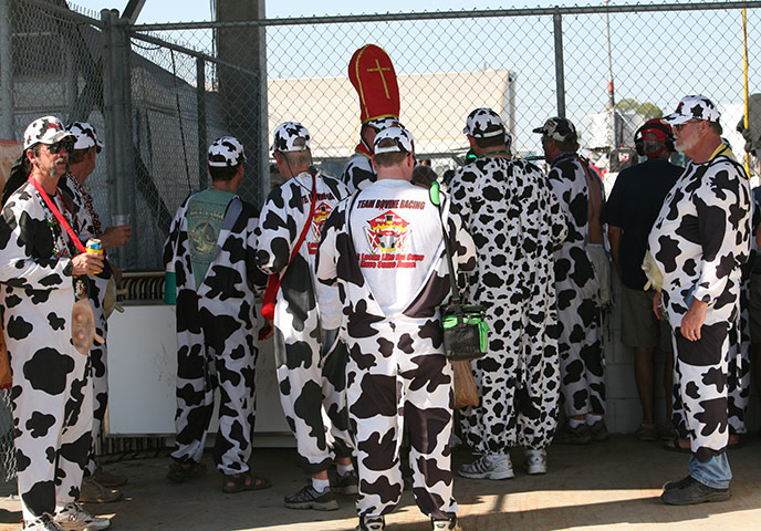 Sebring Race Gallery: Team Bovine have a close look at the pits