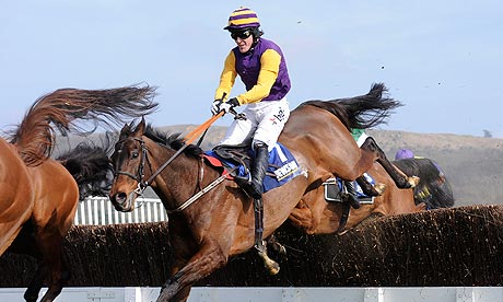 Noble Prince was victorious at the Cheltenham Festival