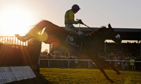Kauto Star