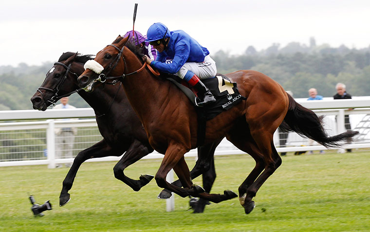 Royal Ascot Day 2: Rewilding with Frankie Dettori up, wins the The Prince of Wales's Stakes