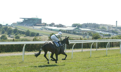 A lone racehorse on Brighton racecourse, far from the stands