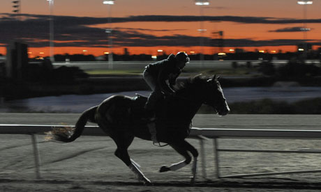 There is Group 1 action at Woodbine racecourse in Canada tonight.