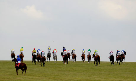 Racehorses pull up after a race at Newmarket