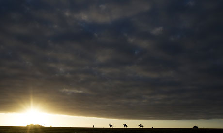 Horses on the Newmarket gallops