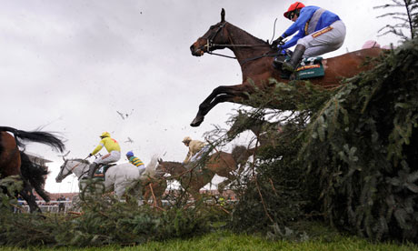 Cappa Bleu in the Grand National